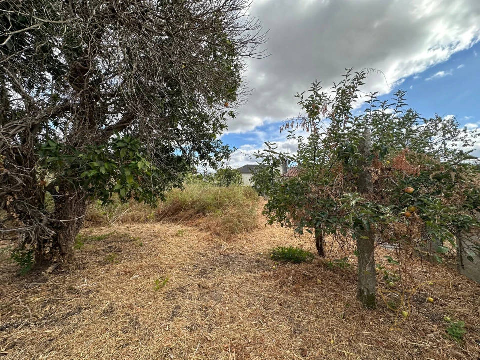 Moradia T0 para Venda em Mazedo e Cortes Foto 9