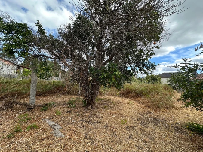 Moradia T0 para Venda em Mazedo e Cortes Foto 8