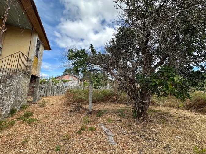 Moradia T0 para Venda em Mazedo e Cortes Foto 7