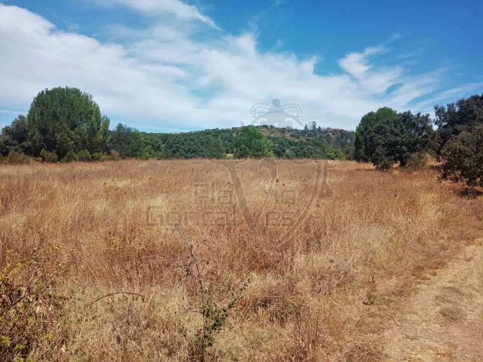 Terreno para Venda em Estremoz (Santa Maria e Santo André) Foto 1