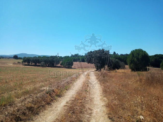 Terreno para Venda em Estremoz (Santa Maria e Santo André) Foto 3
