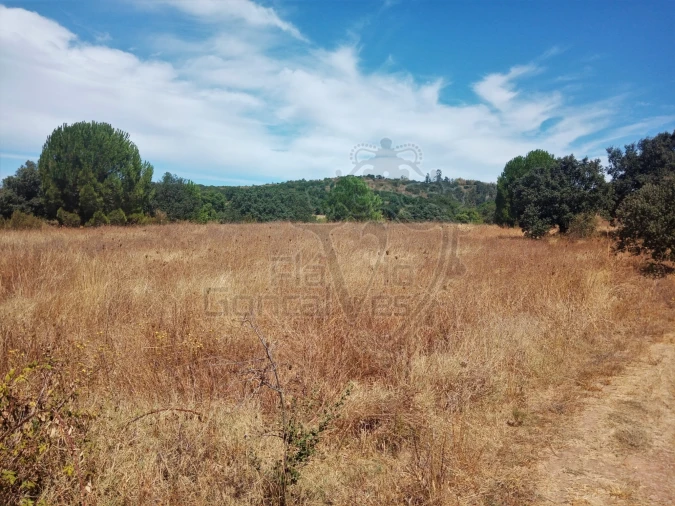 Terreno para Venda em Estremoz (Santa Maria e Santo André)