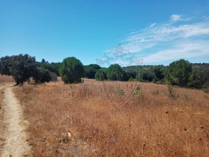 Terreno para Venda em Estremoz (Santa Maria e Santo André) Foto 4
