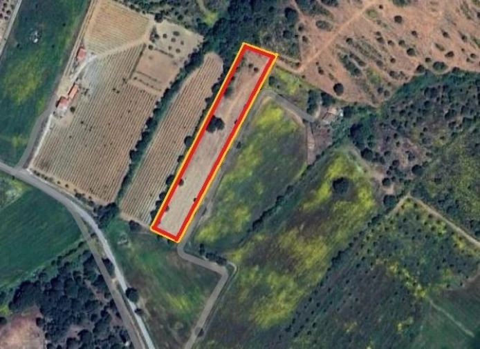 Terreno para Venda em Estremoz (Santa Maria e Santo André) Foto 6