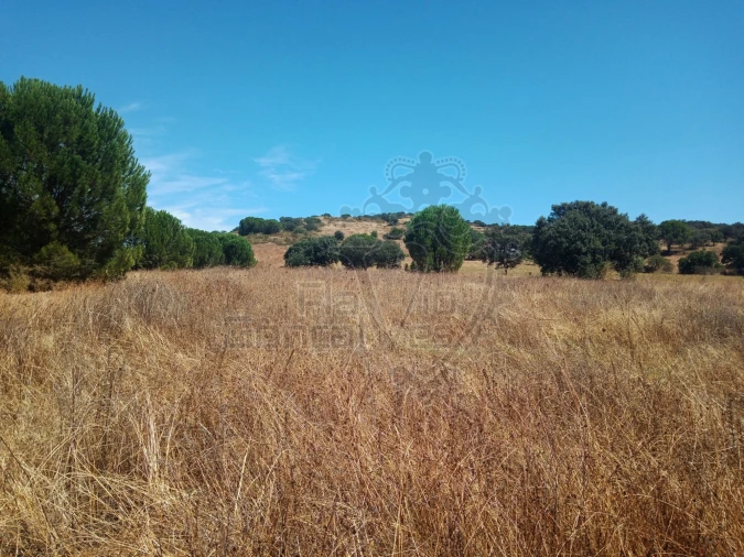 Terreno para Venda em Estremoz (Santa Maria e Santo André) Foto 5