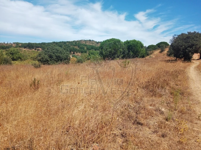 Terreno para Venda em Estremoz (Santa Maria e Santo André) Foto 2