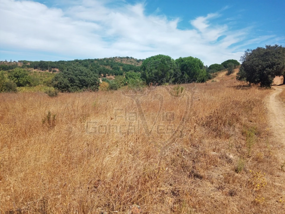 Terreno para Venda em Estremoz (Santa Maria e Santo André) Foto 2