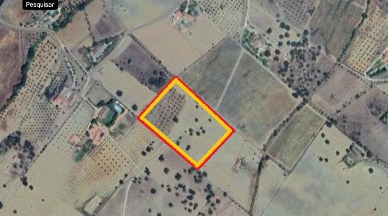 Terreno para Venda em Gloria Foto 11