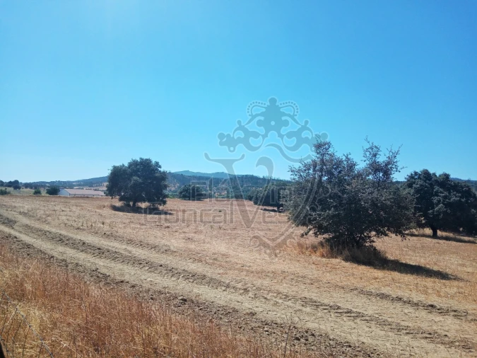 Terreno para Venda em Gloria Foto 3