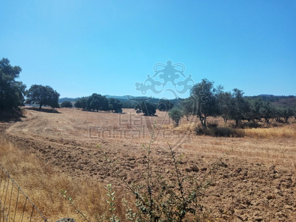 Terreno para Venda em Gloria Foto 6