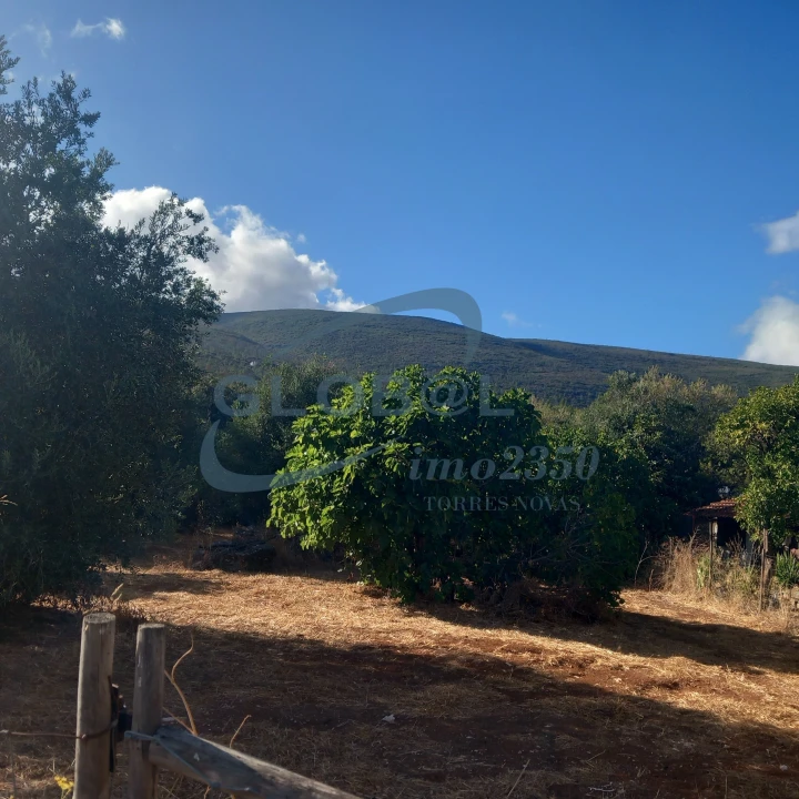 Quinta T0 para Venda em Pedrogão Foto 4