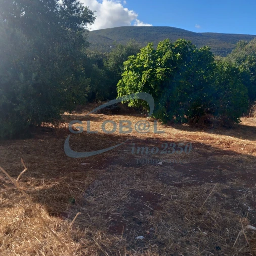 Quinta T0 para Venda em Pedrogão Foto 3