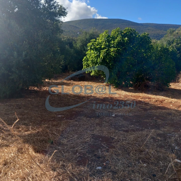 Quinta T0 para Venda em Pedrogão Foto 3