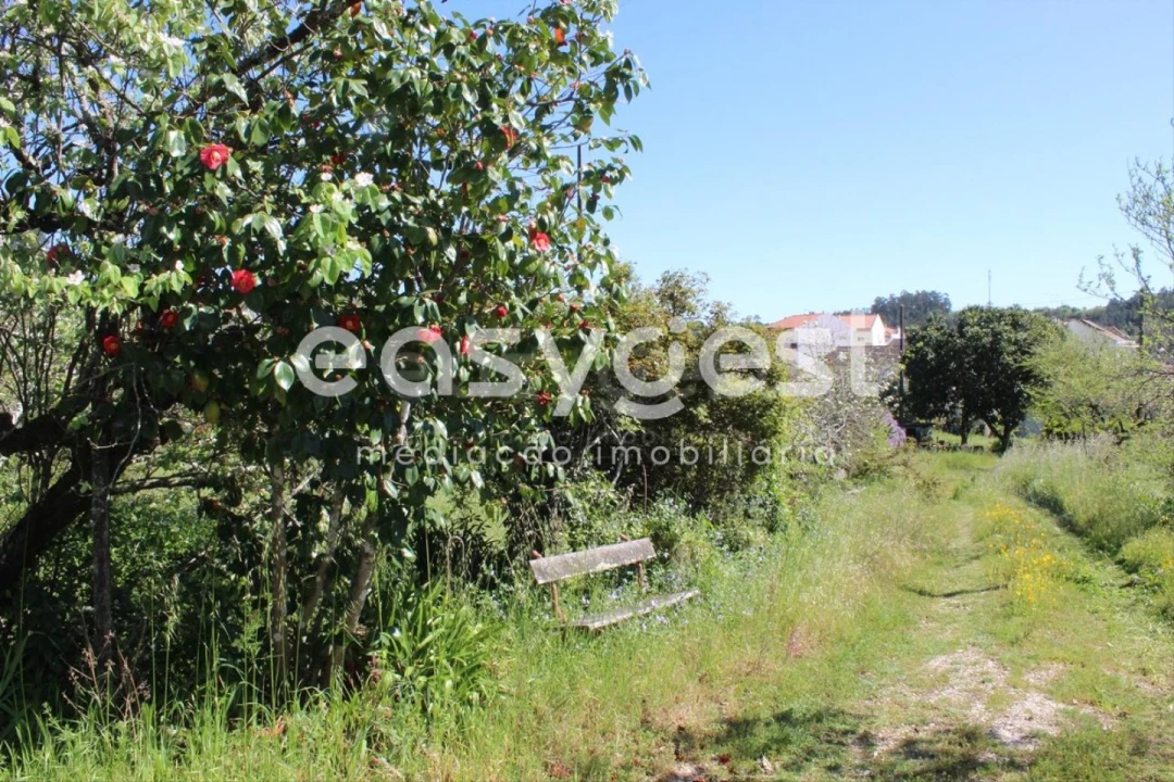 Quinta T13 para Venda em Caxarias Foto 42