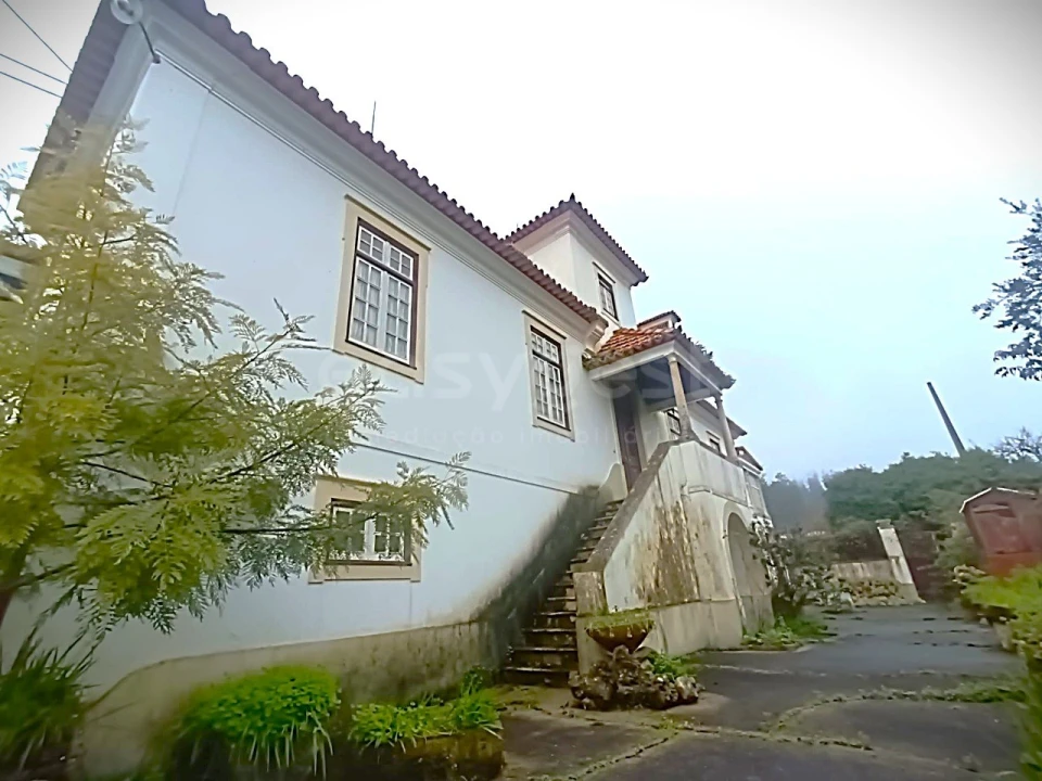 Quinta T13 para Venda em Caxarias Foto 40