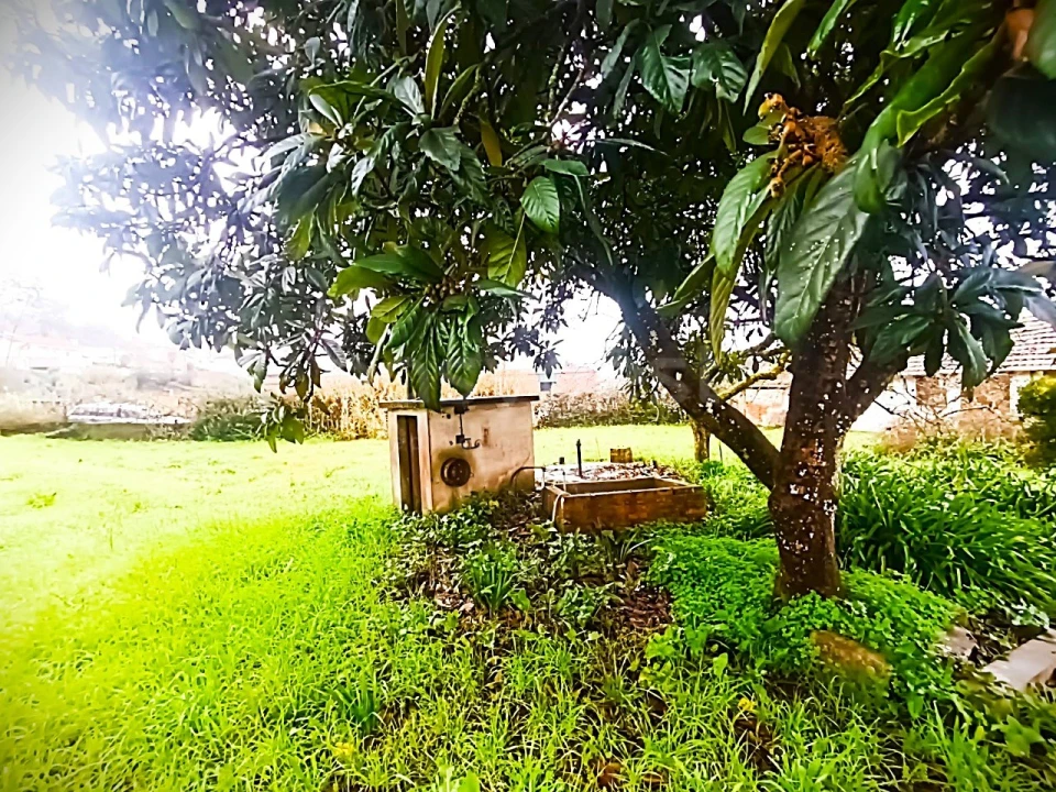 Quinta T13 para Venda em Caxarias Foto 43