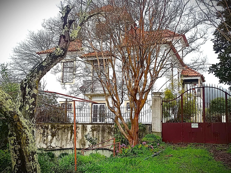 Quinta T13 para Venda em Caxarias Foto 46