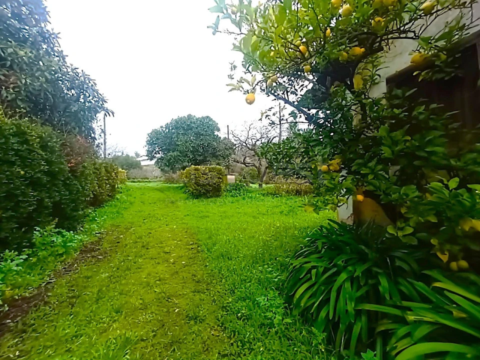 Quinta T13 para Venda em Caxarias Foto 47