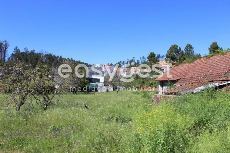 Quinta T13 para Venda em Caxarias Foto 37