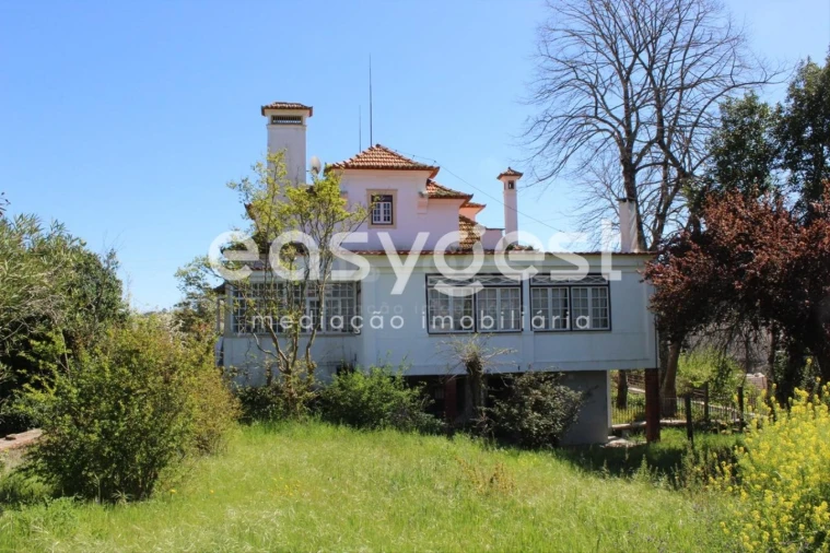 Quinta T13 para Venda em Caxarias Foto 39