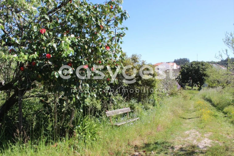 Quinta T13 para Venda em Caxarias Foto 42