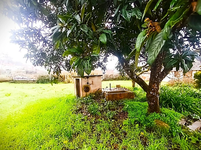 Quinta T13 para Venda em Caxarias Foto 43