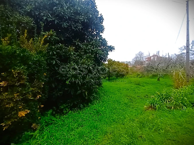 Quinta T13 para Venda em Caxarias Foto 44