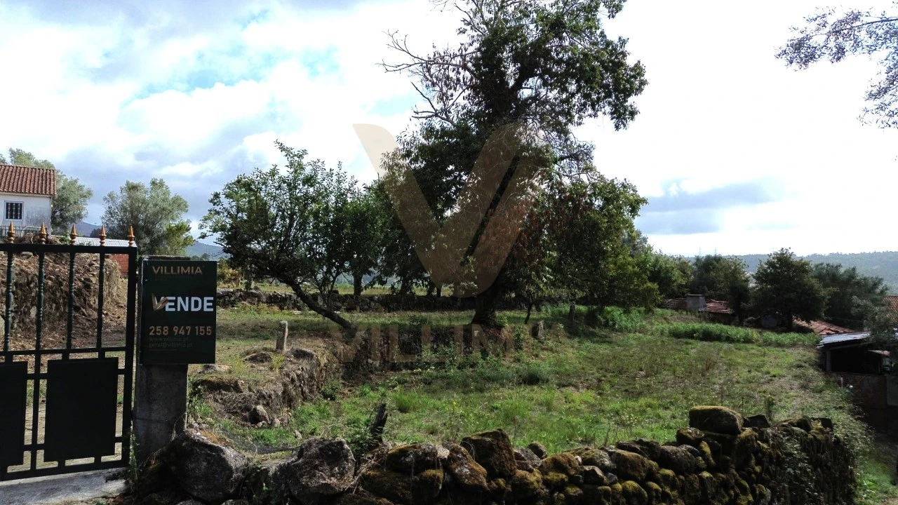 Terreno para Venda em Navió e Vitorino dos Piães Foto 5