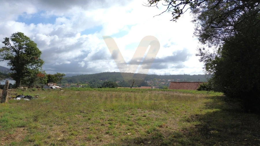Terreno para Venda em Navió e Vitorino dos Piães Foto 8