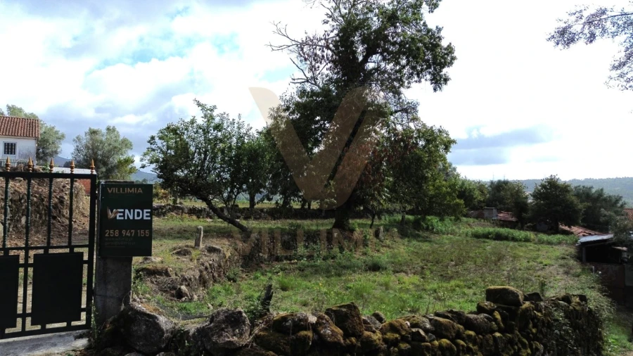Terreno para Venda em Navió e Vitorino dos Piães Foto 5