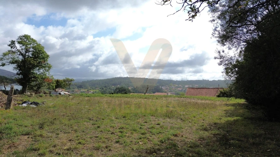 Terreno para Venda em Navió e Vitorino dos Piães Foto 1