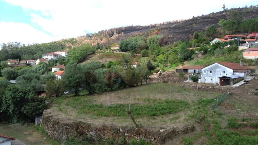Terreno para Venda em Navió e Vitorino dos Piães Foto 7
