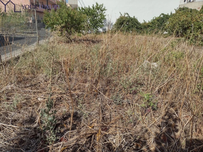 Terreno para Venda em Pontinha e Famões Foto 10