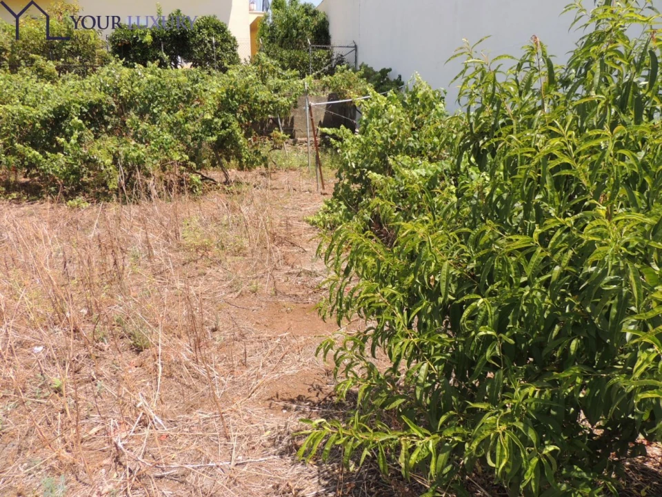 Terreno para Venda em Pontinha e Famões Foto 8