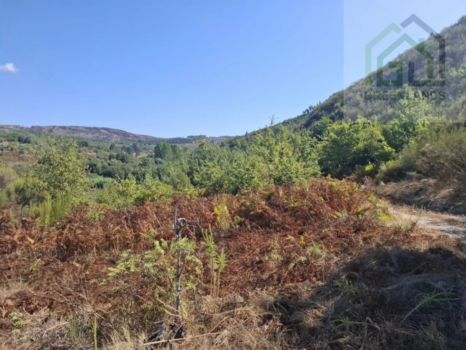 Quinta T2 para Venda em Côja e Barril de Alva Foto 19