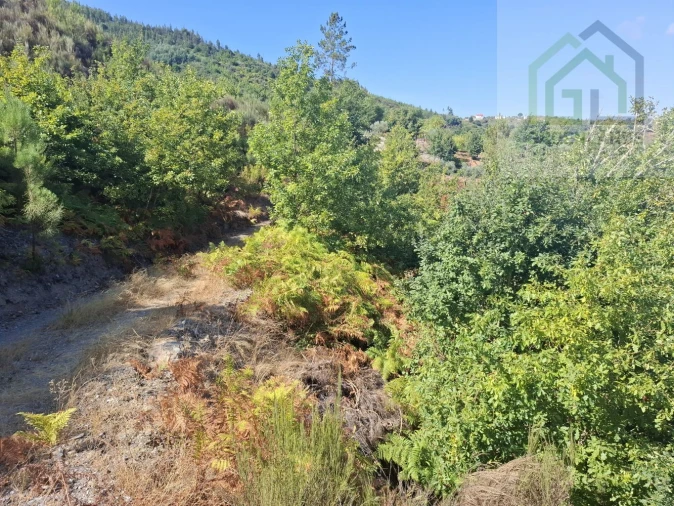 Quinta T2 para Venda em Côja e Barril de Alva Foto 21