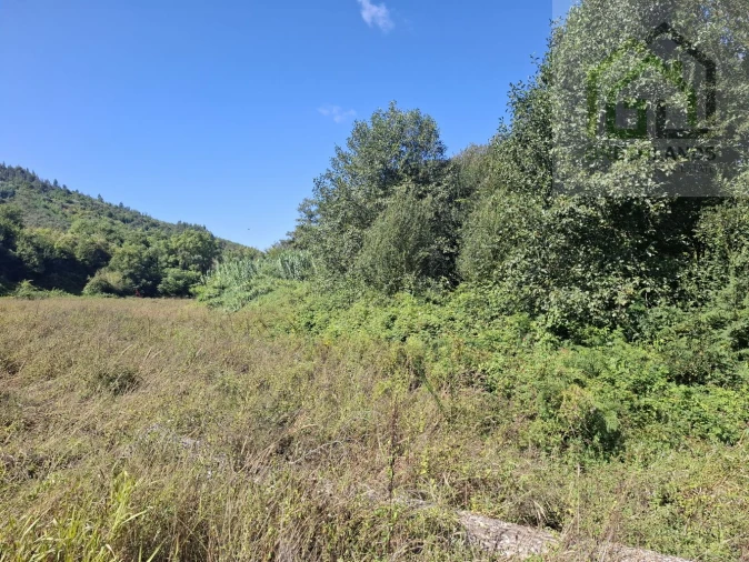 Quinta T2 para Venda em Côja e Barril de Alva Foto 30