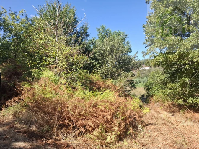 Quinta T2 para Venda em Côja e Barril de Alva Foto 16