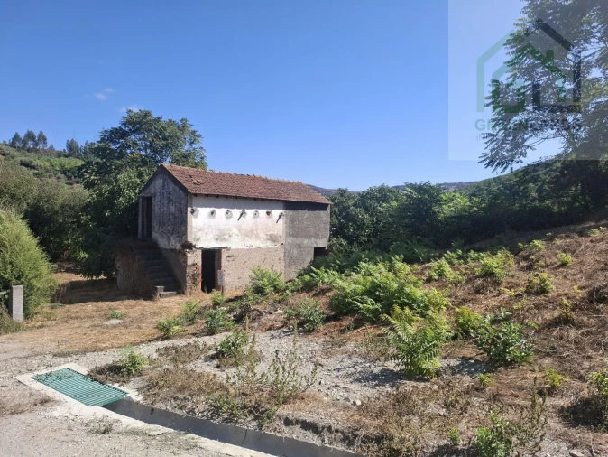 Quinta T2 para Venda em Côja e Barril de Alva Foto 4