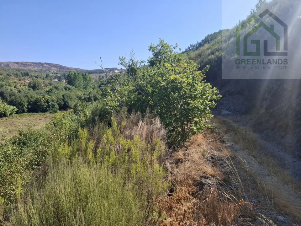 Quinta T2 para Venda em Côja e Barril de Alva Foto 22