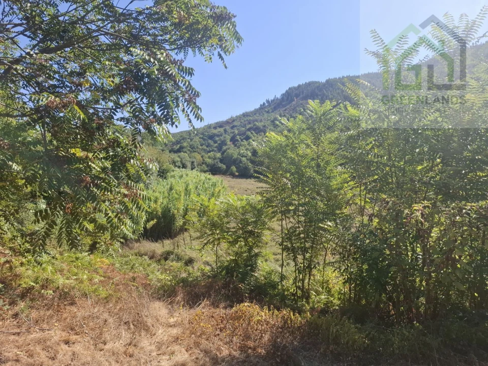 Quinta T2 para Venda em Côja e Barril de Alva Foto 17