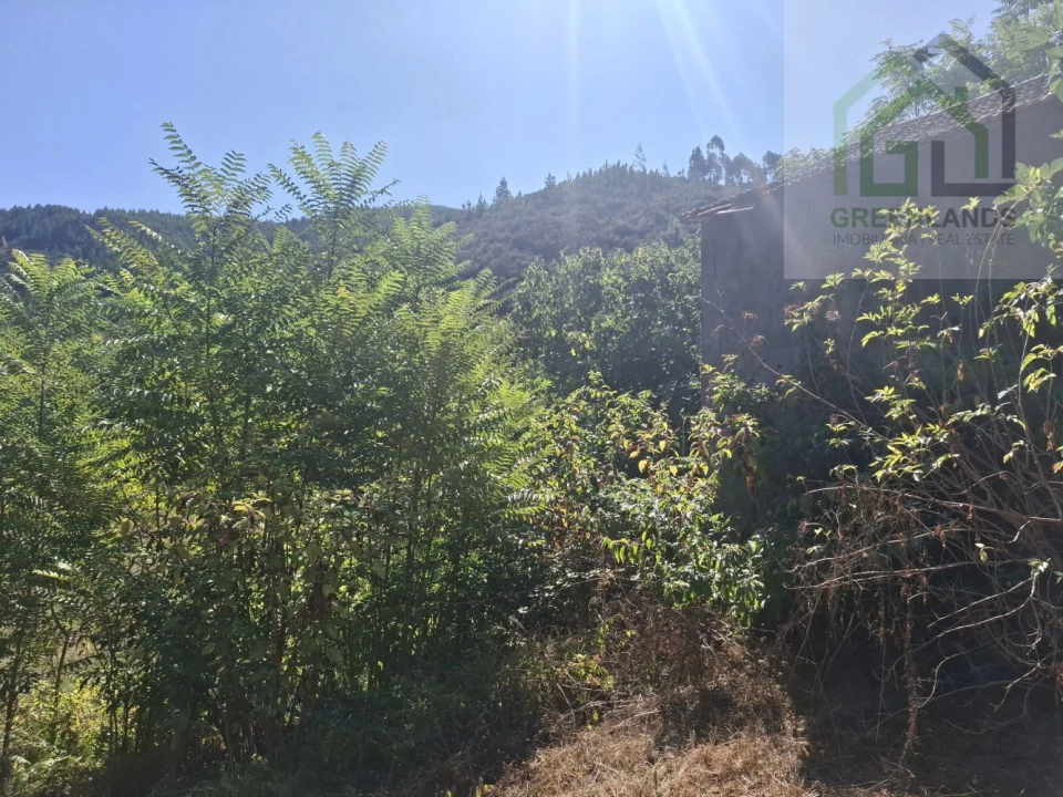 Quinta T2 para Venda em Côja e Barril de Alva Foto 18