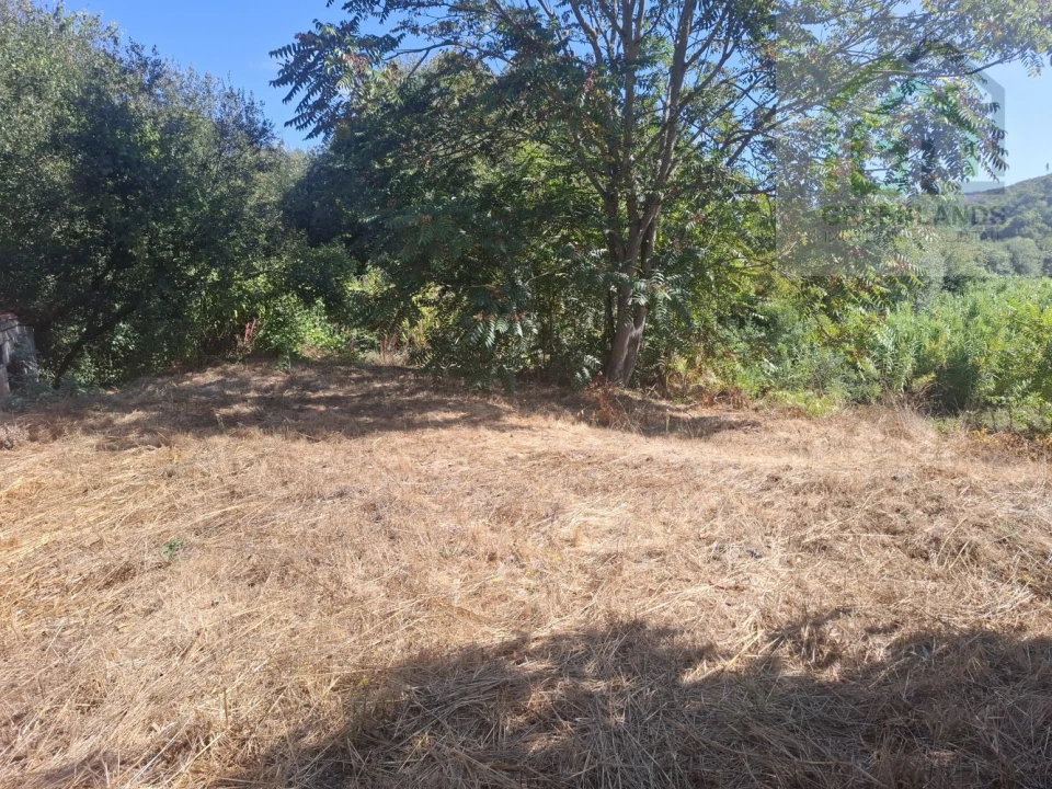 Quinta T2 para Venda em Côja e Barril de Alva Foto 25