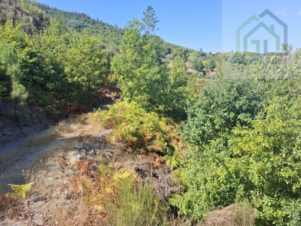 Quinta T2 para Venda em Côja e Barril de Alva Foto 21