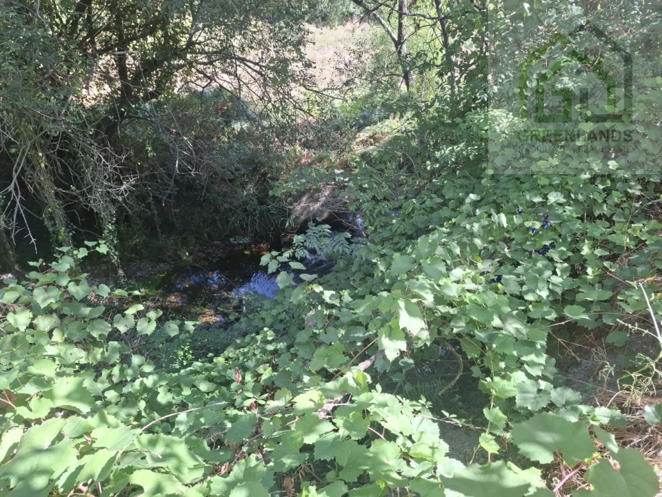 Quinta T2 para Venda em Côja e Barril de Alva Foto 11