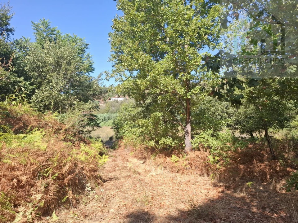 Quinta T2 para Venda em Côja e Barril de Alva Foto 31