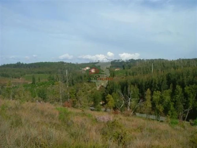 Terreno para Venda em Sertã Foto 2