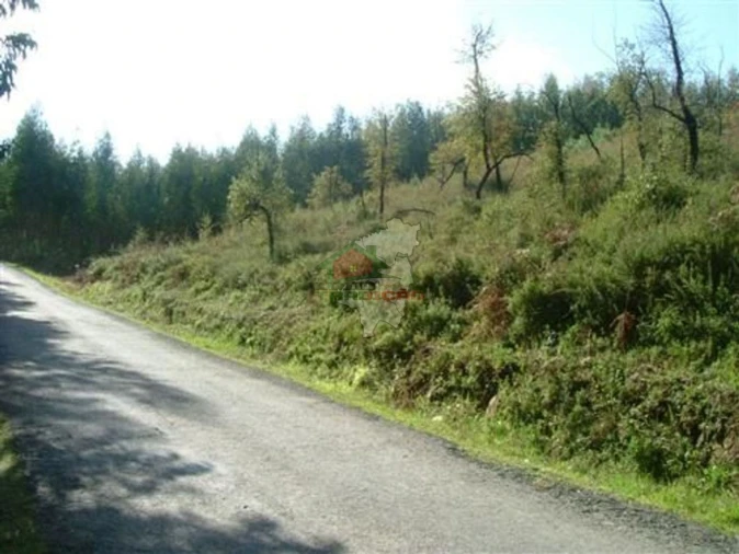 Terreno para Venda em Sertã Foto 3