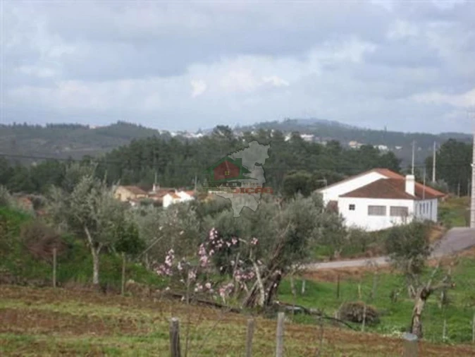 Terreno para Venda em Vila de Rei Foto 2