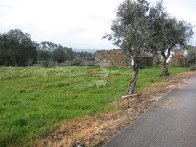 Terreno para Venda em Vila de Rei Foto 1